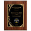 Recognition Classic Plaque With Gold Plate - 4 Frame Colors