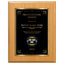 Recognition Classic Plaque With Gold Plate - 4 Frame Colors