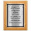 Never Underestimate the Difference You Made Classic Retirement Plaque - 4 Frame Colors - Brushed Silver & Gold Plate Options