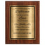Never Underestimate the Difference You Made Classic Retirement Plaque - 4 Frame Colors - Brushed Silver & Gold Plate Options