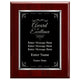Award of Excellence Plaque - Employee Recognition Award, 4 Frame Colors
