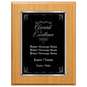 Award of Excellence Plaque - Employee Recognition Award, 4 Frame Colors