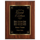 Award of Excellence Classic Plaque - 4 Frame Colors
