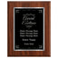 Award of Excellence Classic Plaque - 4 Frame Colors