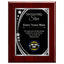 Shining Star Classic Plaque - 4 Frame Colors