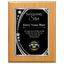 Shining Star Classic Plaque - 4 Frame Colors