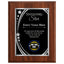 Shining Star Classic Plaque - 4 Frame Colors