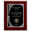 Recognition Award Classic Plaque - 4 Frame Colors