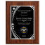 Recognition Award Classic Plaque - 4 Frame Colors