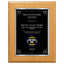 Recognition Award Classic Plaque - 4 Frame Colors