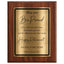 May You Be Proud Classic Retirement Plaque - 4 Frame Colors - Brushed Silver & Gold Plate Options