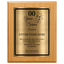 Years of Service Retirement Plaque - 4 Frame Colors - Brushed Silver & Gold Metallic Plate Option
