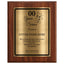 Years of Service Retirement Plaque - 4 Frame Colors - Brushed Silver & Gold Metallic Plate Option