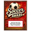 Personalized Soccer Award Plaques - Design 4