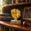 Basketball Trophy – Custom Award with Personalized Gold Plate, 4 Design Options