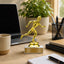Track Trophy – Custom Award with Personalized Gold Plate, 3 Design Options