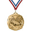Pinewood Derby Medals - Pack & Race Day Awards, 2 3/4" Carbonite Medal in Gold, Silver & Bronze