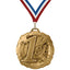 Place Medals - 1st, 2nd & 3rd Place, 2 3/4" Carbonite Medal in Gold, Silver & Bronze