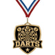 Shield Medal Darts