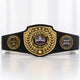 Fantasy Football League Championship Belt – Champion – I Own This League