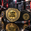 Fantasy Football League Championship Belt – I Own This League