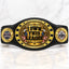 Fantasy Football League Junior Championship Belt – I Own This League – Black