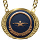 Fantasy Swimming Championship Medallion – Swimming Champion Award Medal with Gold Chain