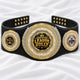 Fantasy Football Presidential Championship Belt - Certified League Bully