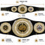 Fantasy Football Presidential Championship Belt - Certified League Bully