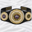 Fantasy Football Presidential Championship Belt - Champion – I Own This League