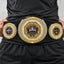 Fantasy Football Presidential Championship Belt - Champion – I Own This League