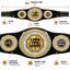 Fantasy Football Presidential Championship Belt - I Own This League