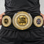 Fantasy Football Presidential Championship Belt - I Own This League