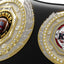 Fantasy Football Presidential Championship Belt - Winner – I Know Ball. You Don't