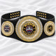 Fantasy Football Presidential Championship Belt - Winner – Better Than All Of You