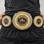 Fantasy Football Presidential Championship Belt - Winner – Better Than All Of You