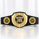 Custom Baseball Bright Shield Championship Belt - Design Your Own