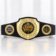 Fantasy Football Bright Shield Championship Belt - Certified League Bully
