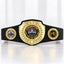 Fantasy Football Bright Shield Championship Belt - Champion - I Own This League