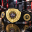 Fantasy Football Bright Shield Championship Belt - Champion - I Own This League
