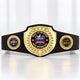 Fantasy Football Bright Shield Championship Belt - Hail To The King - Bow Before Me