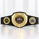 Fantasy Football Bright Shield Championship Belt - Winner - Better Than All Of You