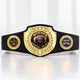 Fantasy Football Bright Shield Championship Belt - Winner - I Know Ball. You Don't