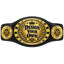 Personalized Fantasy Football League Juniors Championship Belt – Black, 3 Mylar Plates